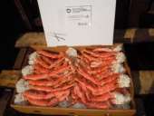 ������� � ����������: ���� ����������� ���������� ���������� 400-600����� �� 850 ������ ��.