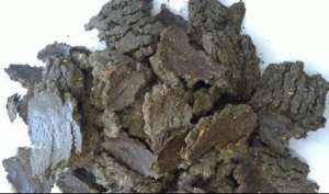 ���� ����������� ������������ - ����������� 1