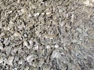 ���� ������������ - ����������� 1