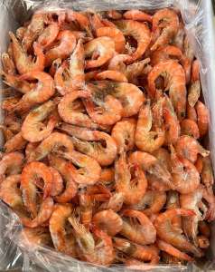 ���� ������������ �������� ����������� - ����������� 1