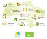 ���� ������������ �������� ������������ ���������