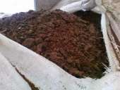 ������� � ����������: ���� ������������ �����-�����������