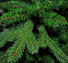 ���� ������������� (�������) - ����������� 2