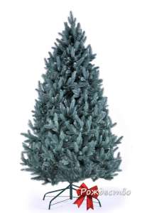 ���� ������������� (�������) - ����������� 1