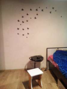 ���� ������������� �������� - ����������� 1