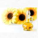 ������� � ����������: ���� ������������� ���������� ����� ����