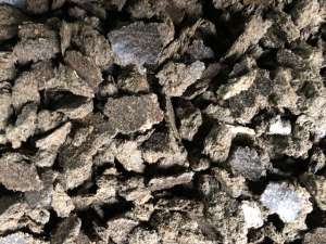 ���� ������������� ����������� �� �������� (������ �������) - ����������� 1