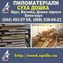 ���� �������������� 2019 ����� ��������� �����. �������������, ������ - ������