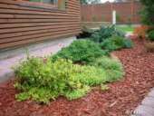 ������� � ����������: ���� ��������(������)