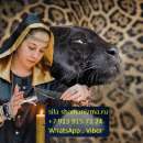 ���� �������������� �������� � �������� ������� ���������� ����� ��������� ����������� � �������� ����� ����. ��������, ������� - ����������� 2