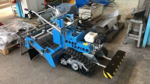 ����e��������� �����a Baby Tapiro 100 - ����������� 1