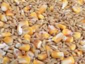 ����� 10 ���� ��������� ������, ������� ��� 10 ���� ����������� ��������. ��� ��� ���� - �������/�������