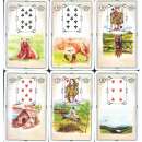 ������� � ����������: ����� 20 ��� �� �������� � ����