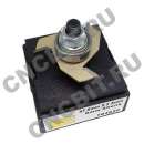 ������� � ����������: ����� Arden ������� �� ������� ������