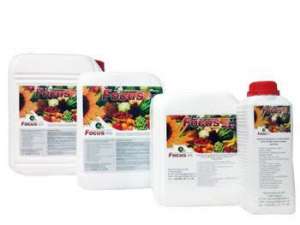 ����� Focus � ������ ����������� ����������������� ��������� - ����������� 1