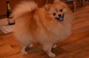 ����� - ����������� 1