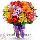 �����. ���������, ����������� - ������