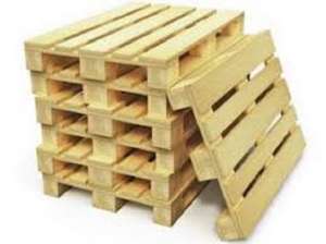 ����� ϲ���� (������) �����'���� ���������� �����. ������ - ����������� 1