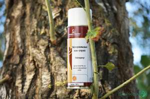 "����� � ��� � ���������� HOLZSPRAY","� � ������� �� ������! - ����������� 1