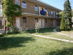 ����� � ���� � ������ � ���� 100��� ������ �������� ����� �������� - ����������� 1