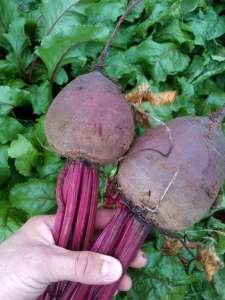 ����� � ����� ���������� - ����������� 1