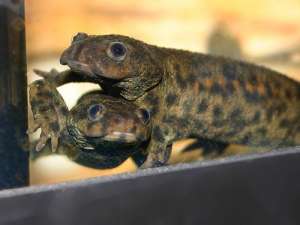 ����� � ����� ���������� �������. ������� �������� �� ���� �������! - ����������� 1