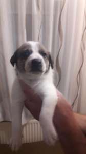 ����� � ������ ����. ��������� - ����������� 1