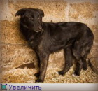 ����� � ������ ���� ������������� ������� ���. �������� �������� - �������/�������