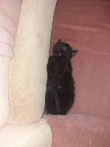 ����� � ������� ���� - ����������� 1