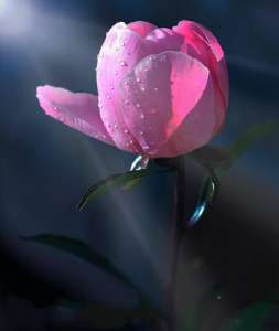 ����� � ������� ���� - ����������� 1