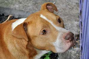 ����� � ������� ���� �������������� �������� - ����������� 1