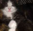 ����� � ������� �������������� � ����� ������ - ����������� 2