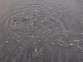 ����� � ������� �������-�����,����������,������ ����� !!! - ����������� 3