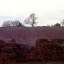 ������� � ����������: ����� � �������� � ������ �� ����� � ���.