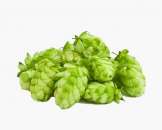 ������� � ����������: ����� � ����������� ��� ����������� ��������������