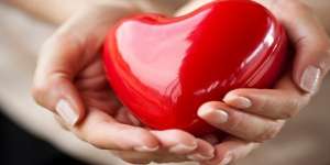 ����� �� ���� ����� �� �������� - ����������� 1