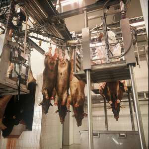 ����� �� ���� ������ � ��� - ����������� 1