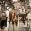 ������� � ����������: ����� �� ���� ������ � ���