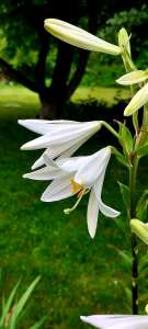 ����� �� ����. ������� � ������� - ����������� 1