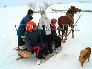 ����� �� ����� ��� � ��������, ���������� ���� � ������� - ����������� 1