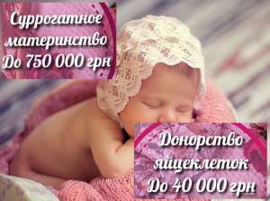 ����� �� ����� ���������� ����� � ������ 2020 �����-���������. �SURma�������� ����� 750 000 ���. �SURmamka� �����-��������� - ����������� 1