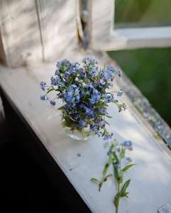 ����� �� ������ - ����������� 1