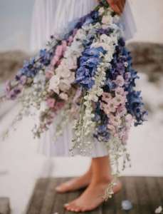 ����� �� ������ - ����������� 1