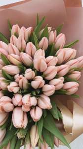 ����� �� ������ - ����������� 1