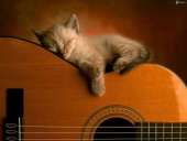 ������� � ����������: ����� �� ������ � ������!!!