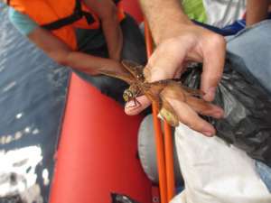 ����� �� ������ �� �.����� �� - ����������� 1