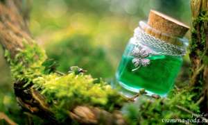 ����� �� ������ ���� � ��������. ���������� ������ - ����������� 1