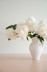 ����� �� ������ ����, ����������� ����� � ���������� - ����������� 1