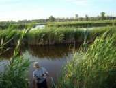 ������� � ����������: ����� �� ������ �����