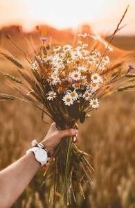 ����� �� ������ , ����� �������� / ����� - ����������� 1